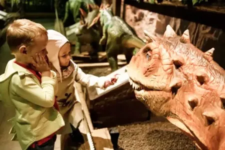 Tirol 2026: 25 høydepunkter du må oppleve — sommer og vinter